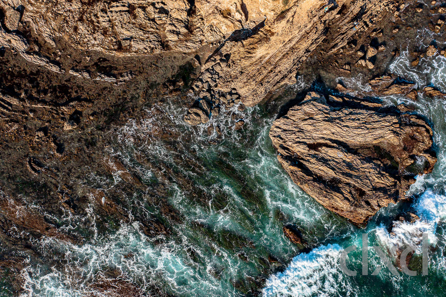 Corona Del Mar Tide Pools